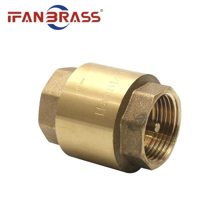 check valve check valve