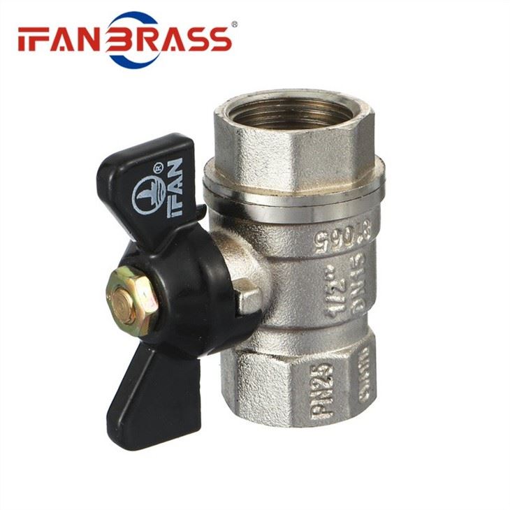 2 Brass Ball Valves