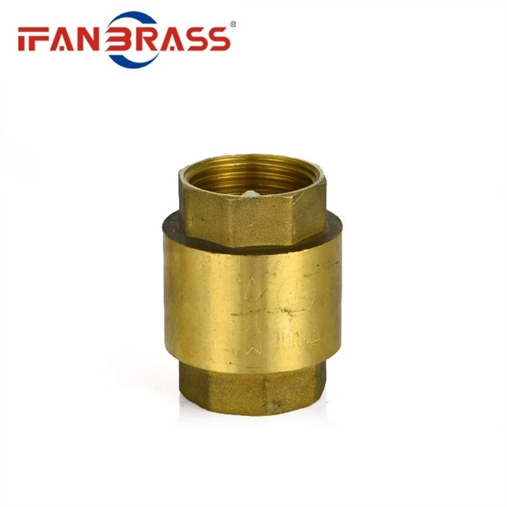 brass non return valve
